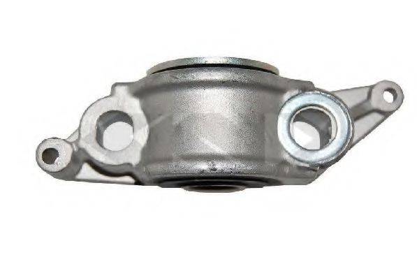 SPIDAN 411674 Подвеска, рычаг независимой подвески колеса