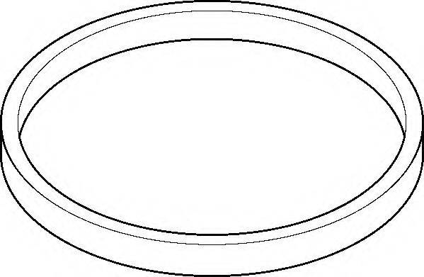 ELRING 895580 Прокладка, корпус впускного коллектора