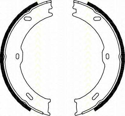 TRISCAN 810010023 Комплект тормозных колодок; Комплект тормозных колодок, стояночная тормозная система