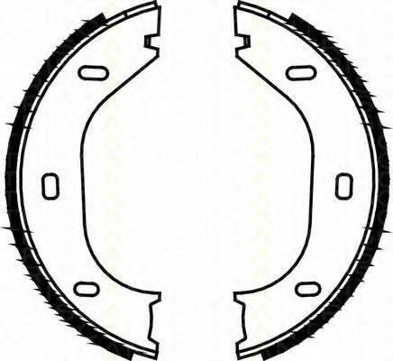 TRISCAN 810010290 Комплект тормозных колодок, стояночная тормозная система