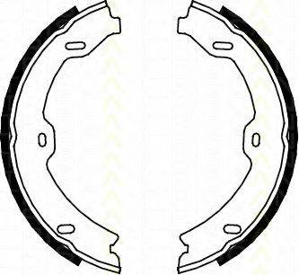 TRISCAN 810023031 Комплект тормозных колодок, стояночная тормозная система