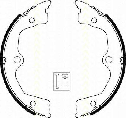 TRISCAN 810040009 Комплект тормозных колодок, стояночная тормозная система