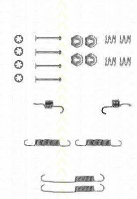 TRISCAN 8105162541 Комплектующие, тормозная колодка