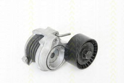 TRISCAN 8641113019 Натяжная планка, поликлиновой ремень