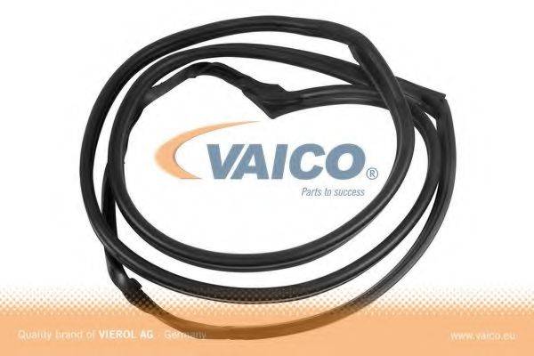 VAICO V301563 Уплотнение двери