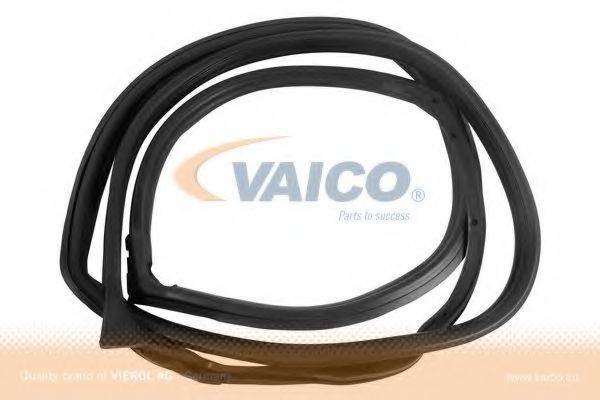 VAICO V301571 Уплотнение двери