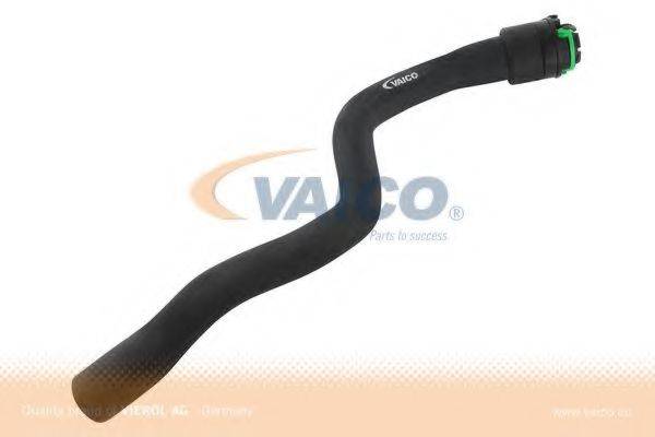 VAICO V401352 Шланг радиатора