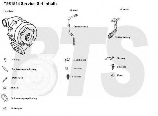 BTS TURBO T981514 Компрессор, наддув