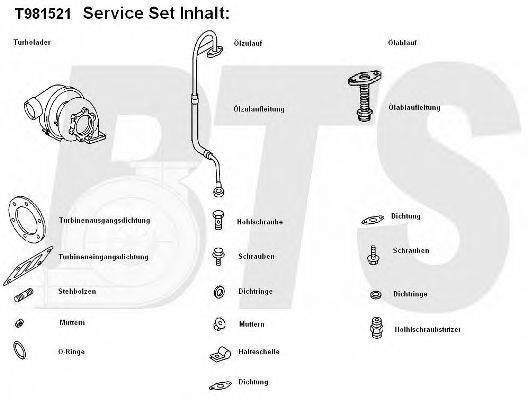 BTS TURBO T981521 Компрессор, наддув