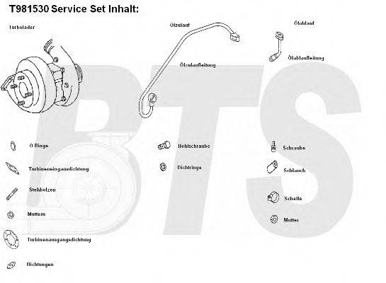 BTS TURBO T981530 Компрессор, наддув