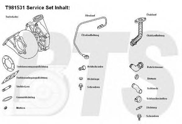 BTS TURBO T981531 Компрессор, наддув