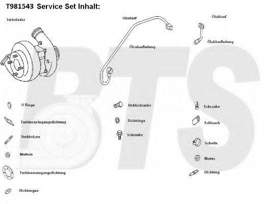 BTS TURBO T981543 Компрессор, наддув