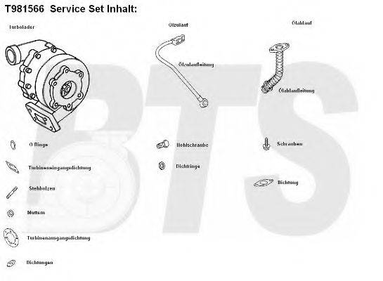 BTS TURBO T981556BL Компрессор, наддув