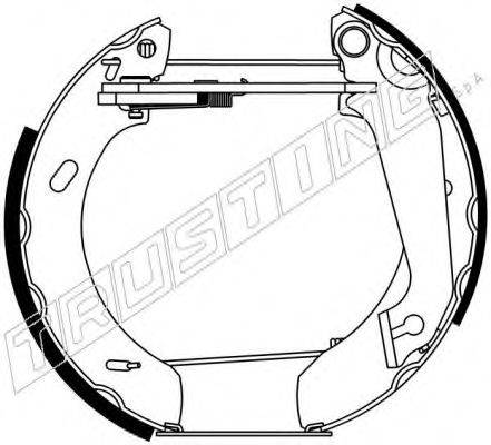 TRUSTING 6069 Комплект тормозных колодок