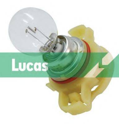 LUCAS ELECTRICAL LLB189 Лампа накаливания, противотуманная фара; Лампа накаливания, задняя противотуманная фара