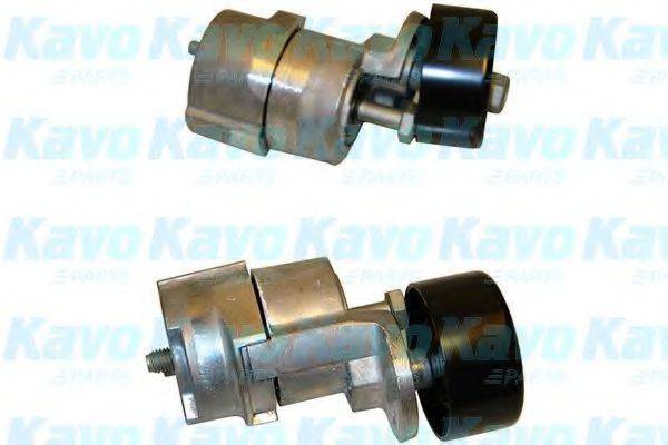 KAVO PARTS DTP3006 Натяжной ролик, поликлиновой  ремень