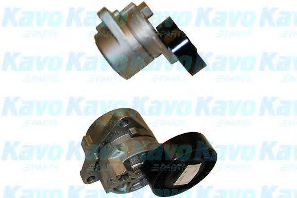 KAVO PARTS DTP3009 Натяжной ролик, поликлиновой  ремень