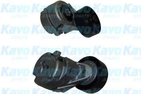 KAVO PARTS DTP4004 Натяжной ролик, поликлиновой  ремень