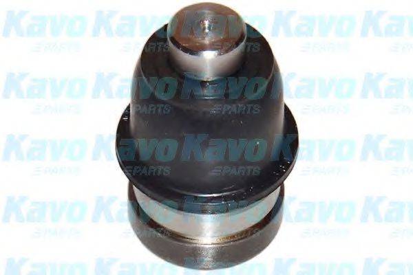 KAVO PARTS SBJ5522 Несущий / направляющий шарнир