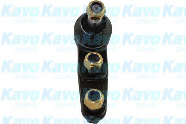 KAVO PARTS SBJ1001 Несущий / направляющий шарнир