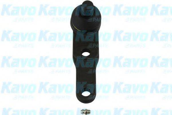 KAVO PARTS SBJ1005 Несущий / направляющий шарнир
