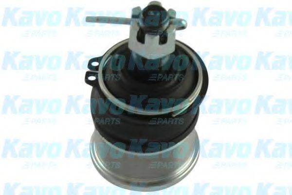 KAVO PARTS SBJ2004 Несущий / направляющий шарнир