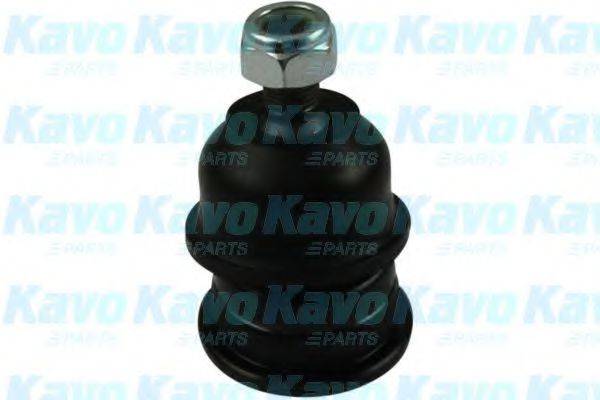 KAVO PARTS SBJ5501 Несущий / направляющий шарнир