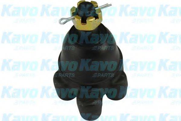 KAVO PARTS SBJ5503 Несущий / направляющий шарнир