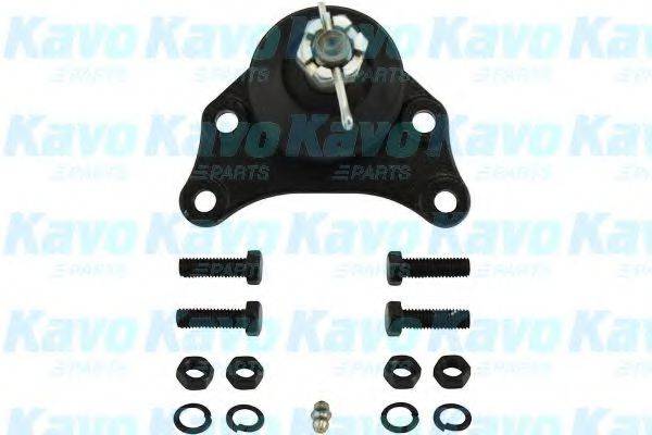 KAVO PARTS SBJ9019 Несущий / направляющий шарнир