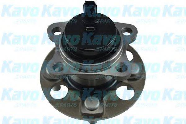 KAVO PARTS WBH9031 Комплект подшипника ступицы колеса