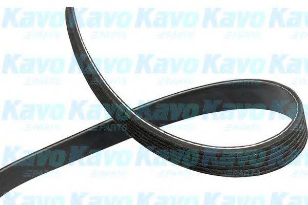 KAVO PARTS DMV1012 Поликлиновой ремень