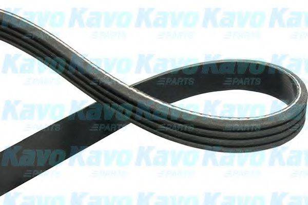 KAVO PARTS DMV1508 Поликлиновой ремень