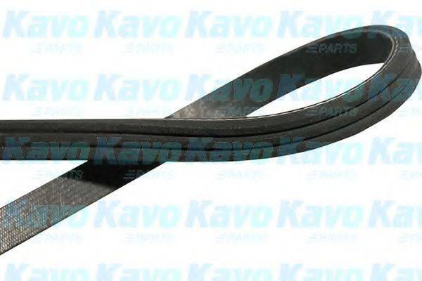 KAVO PARTS DMV1509 Поликлиновой ремень