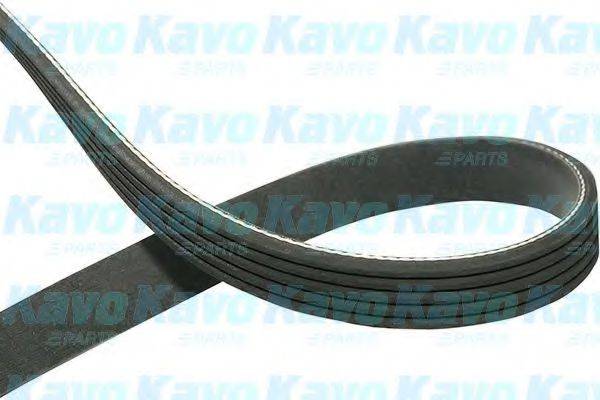 KAVO PARTS DMV2024 Поликлиновой ремень