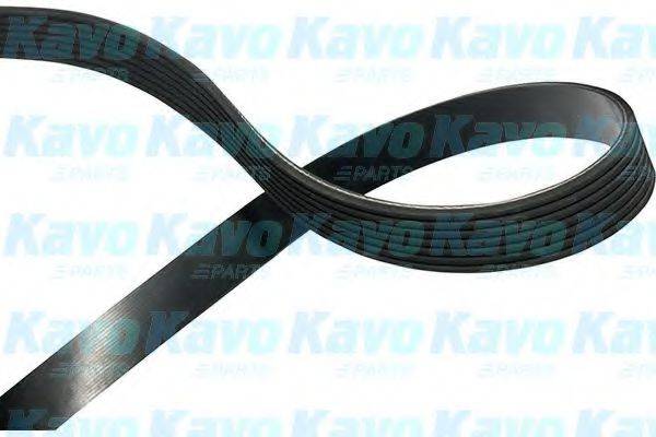 KAVO PARTS DMV2033 Поликлиновой ремень