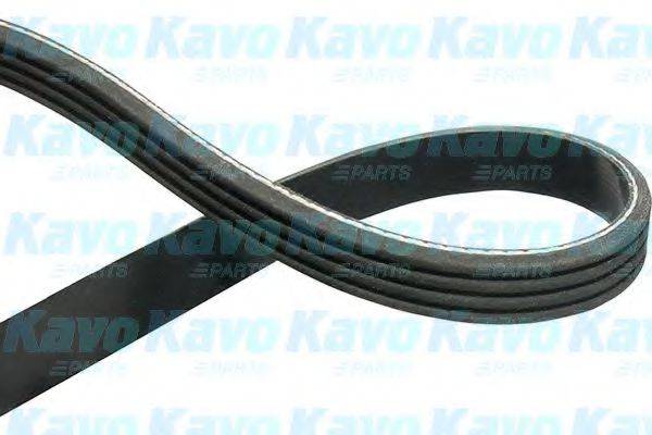 KAVO PARTS DMV3501 Поликлиновой ремень