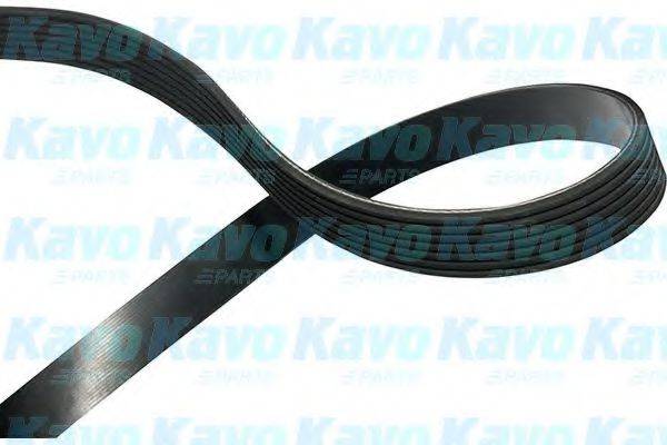 KAVO PARTS DMV4001 Поликлиновой ремень