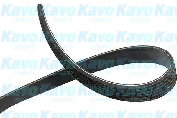 KAVO PARTS DMV4543 Поликлиновой ремень