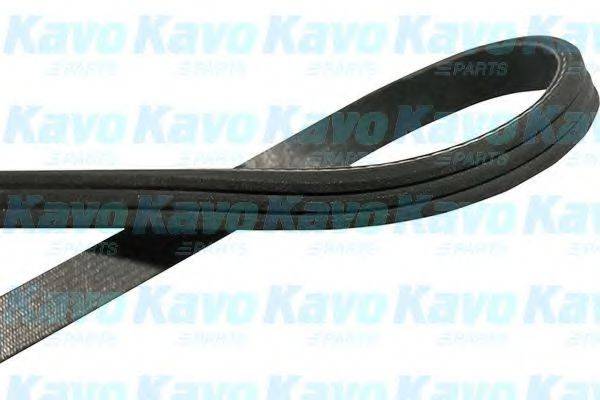 KAVO PARTS DMV9092 Поликлиновой ремень