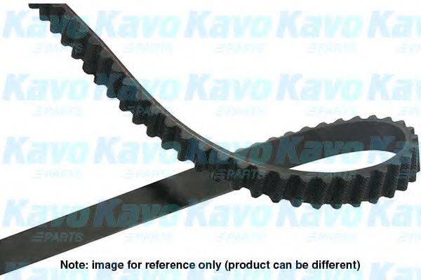 KAVO PARTS DTB6528 Ремень ГРМ