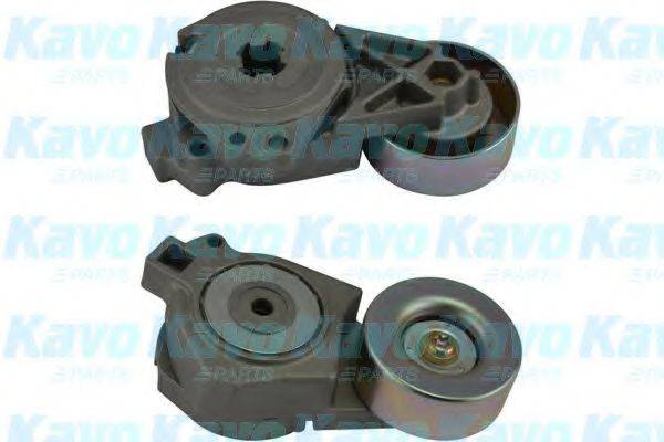 KAVO PARTS DTP5504 Натяжной ролик, поликлиновой  ремень