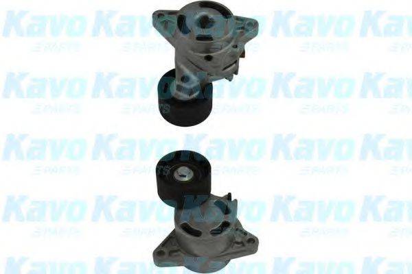 KAVO PARTS DTP6511 Натяжной ролик, поликлиновой  ремень