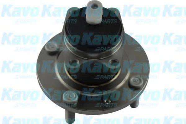 KAVO PARTS WBH5527 Комплект подшипника ступицы колеса