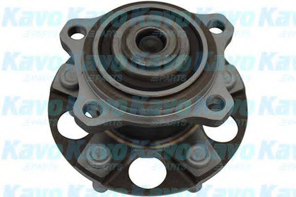 KAVO PARTS WBH5522 Комплект подшипника ступицы колеса