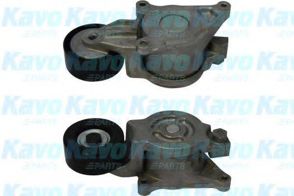 KAVO PARTS DTP4525 Натяжной ролик, поликлиновой  ремень