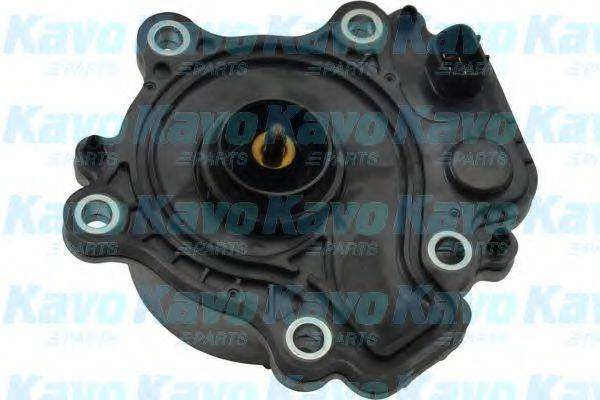KAVO PARTS TW6001E Водяной насос