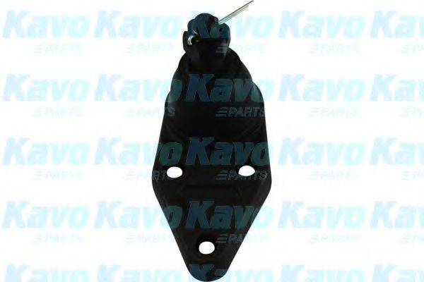 KAVO PARTS SBJ5526 Несущий / направляющий шарнир