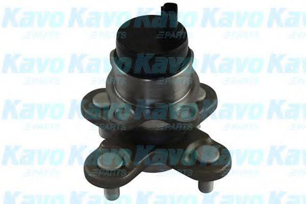 KAVO PARTS WBH1502 Комплект подшипника ступицы колеса