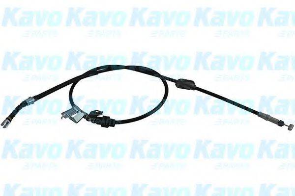 KAVO PARTS BHC2031 Трос, стояночная тормозная система