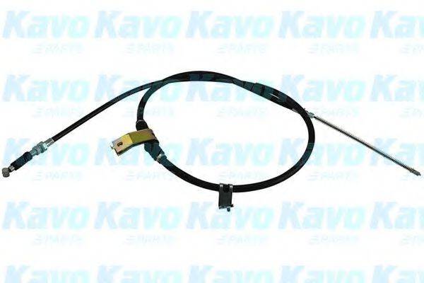 KAVO PARTS BHC3123 Трос, стояночная тормозная система